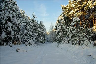 育碧让步？《刺客信条：影》无需通行证仍可获完整体验